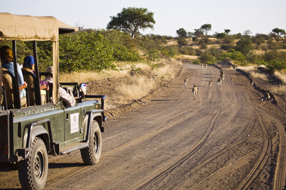 Tuli Safari Lodge Lentswelemoriti Bagian luar foto